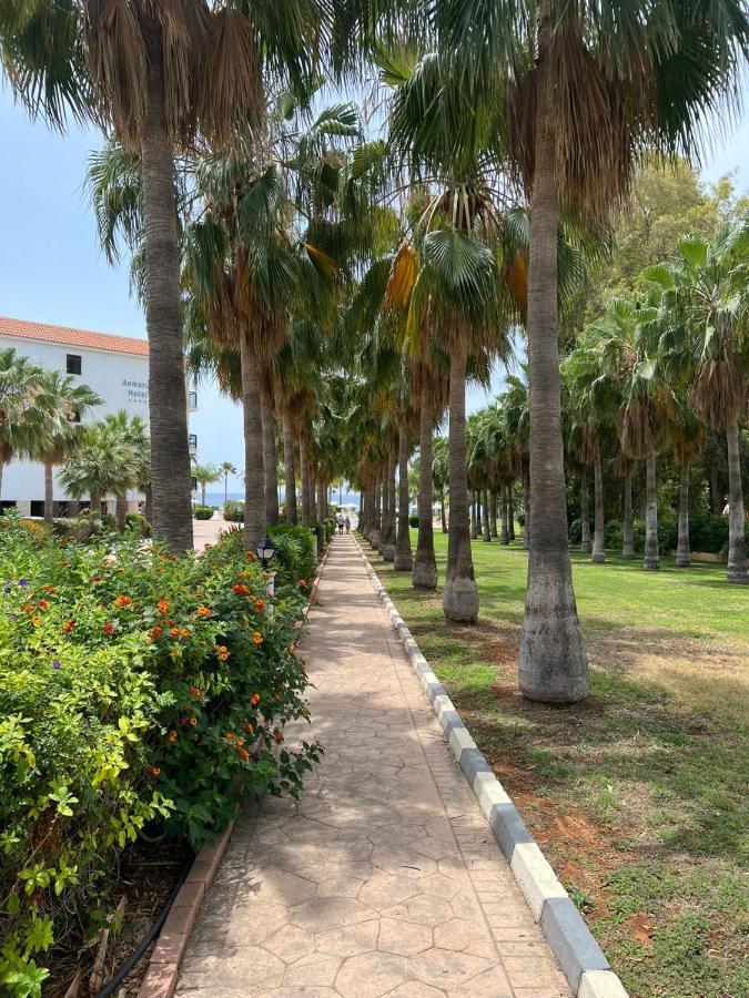 Anmaria Beach Hotel & Spa Agia Napa Exterior foto